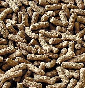 Корм основной Sera Pond BIOGRANULAT для крупных прудовых рыб, гранулы 3,8 л