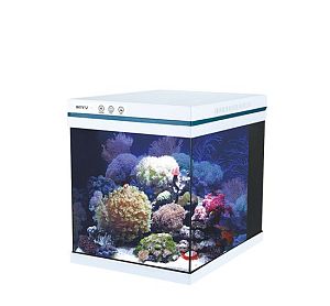 Аквариум BOYU с LED светильником и фильтром, 36 л