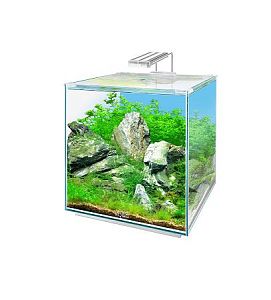 Аквариум Biodesign Q-SCAPE OPTI 15, 25х25&times;29&nbsp;см, 15&nbsp;л