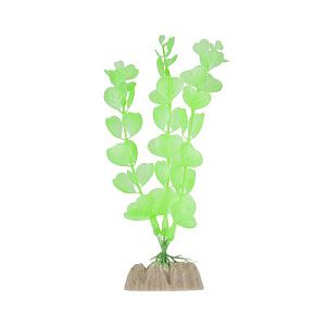 Растение пластиковое GLOFISH флуоресцентное зеленое, 15,24 см