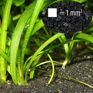 JBL Sansibar BLACK декоративный грунт для аквариума, черный, 10 кг