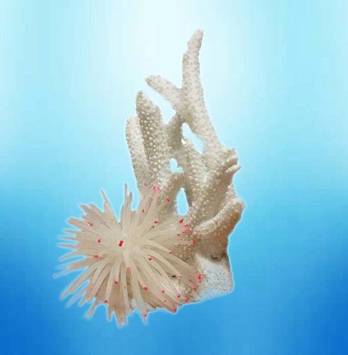 V Грот VITALITY "Коралл" белый, 14,5х4,7х15 см