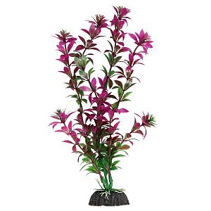 Растение Laguna &laquo;Ротала&raquo; сиреневая, 200&nbsp;мм