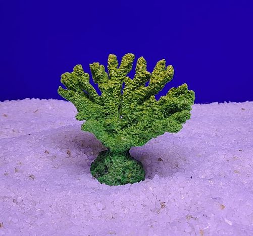 Кр-317 Коралл Акабария, Зелёно-Желтый 9х5х7 см