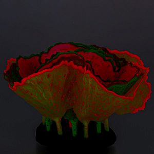 Флуоресцентная декорация GLOXY Морской салат разноцветный, 11x8×12 см