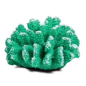 Коралл Laguna искусственный «Поциллопора», зеленый, 120х110×65 мм