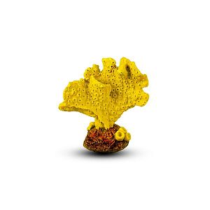 Коралл Акропора Оранжевый 9х5×10 см