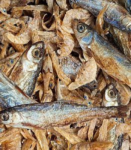 Корм Sera RAFFY ROYAL для рептилий, 1 л