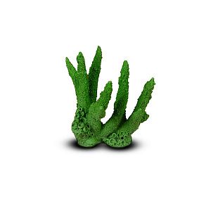 Коралл Коралловый пальчик Темно-зеленый 13,5х14×11,5 см