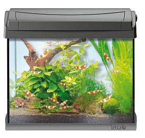 Tetra AquaArt Shrimps Discover Line 20l аквариумный комплект, 20 л