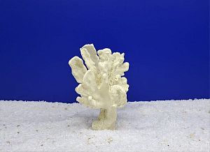 Кр-2500 Коралл Бранч Белый, 15х12×10 см
