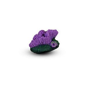 Коралл Гониопора Фиолетовый 7х5×4 см
