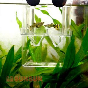 Отсадник-инкубатор SUNSUN пластиковый прозрачный, extra large