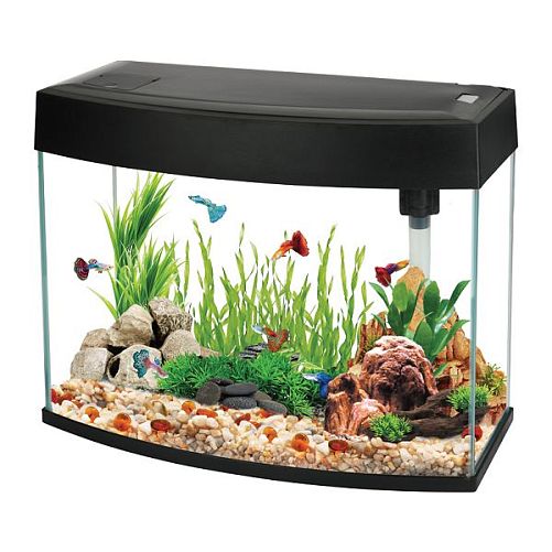 Аквариум AA-Aquariums BasicP 20 л, панорамный черный, 440х190х360 мм