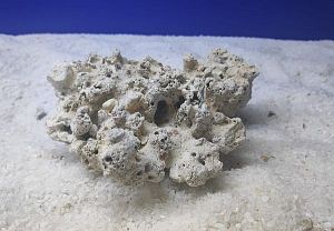 Камень сухой рифовый, плоский, 1 кг