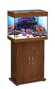 Морской аквариум с тумбой STELLEX AQUA 60, 60 л, 56х32×118 см
