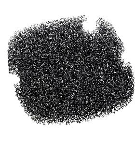 Tetratec BF&nbsp;400/600/700/800&nbsp;plus сменные губки для внешних фильтров EX&nbsp;400/600/700/800, 2&nbsp;шт.