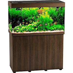 Аквариум РИФ 240 золотой орех, без светильника, 225 л