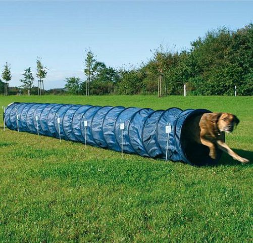 Тоннель TRIXIE для собаки D 60 см, 5 м, нейлон