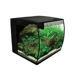Аквариум Fluval Flex изогнутое стекло, 390х390&times;415&nbsp;мм, 57&nbsp;л