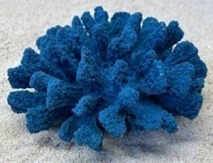 Цветной коралл синий Коралл брокколи, 14*13*7 см