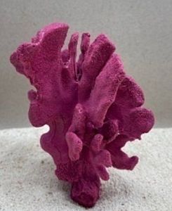 Кр-2526н Коралл бранч, 15*12*10 см