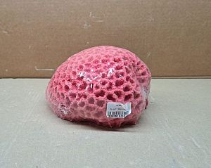 Кр-2411 Мозговик Розовый, 17*13*9 см