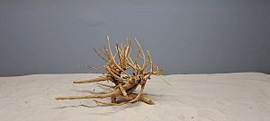 Коряга Сакура S, 15−25 см