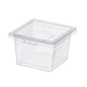 Отсадник пластиковый NOMOY PET Square box, с крышечкой для кормления, 6,8×6,8×4,5 см