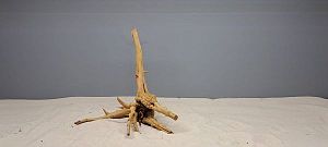 Коряга Сакура S, 15−25 см