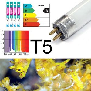 Лампа флуоресцентная Arcadia T5&nbsp;Marine White 14 000&nbsp;K&nbsp;39&nbsp;Вт, 850&nbsp;мм