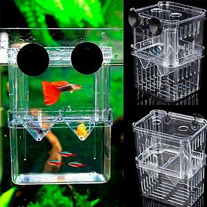 Отсадник-инкубатор SUNSUN пластиковый прозрачный, большой