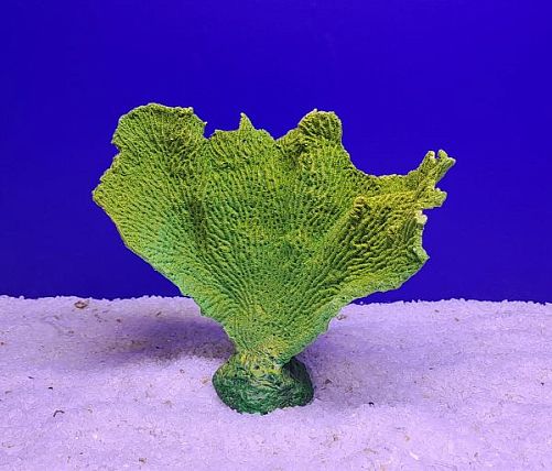 Кр-1417 Коралл веер, Зелено-Желтый17х7х15 см