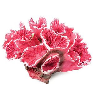 Коралл Laguna искусственный «Кауластрея», розовая, 70х50×45 мм
