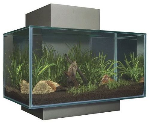 Fluval Edge LED аквариум, 23 л, серый