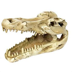 Декорация Nomoy Pet «Череп крокодила», 13.8×8.5×6.8 см