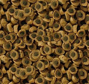 Корм Sera REPTIL PROFESSIONAL HERBIVOR для растительноядных рептилий, 250 мл