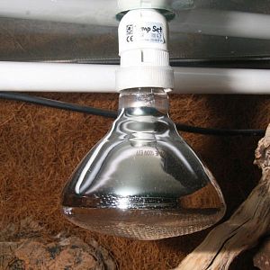 JBL SOLAR UV-Spot plus 100W ультрафиолетовая лампа-спот со&nbsp;спектром дневного света, 100&nbsp;Вт