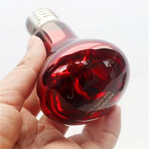 Лампа инфракрасная Nomoy Pet Infrared heating lamp для рептилий, 25&nbsp;Вт
