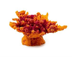 Кр-221 Коралл корона оранж акрил, 13*10*6.5 см
