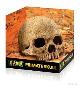 Exo Terra декорация «Череп примата» для террариума
