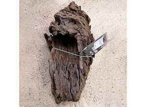 Декорация Repti Planet коряга M&nbsp;для террариума, 29&minus;36&nbsp;см