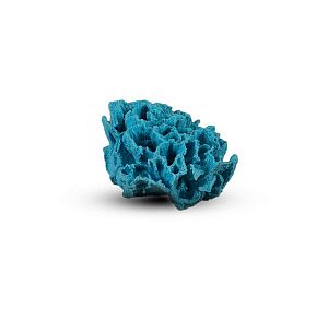 Коралл Гвоздика Голубой 12х10×6 см