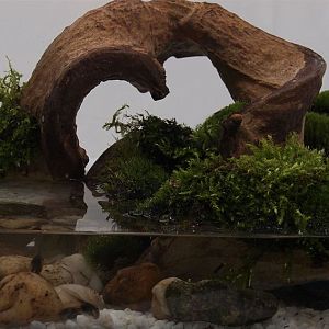 Лиана пластиковая Repti Planet для террариума, 30&nbsp;см