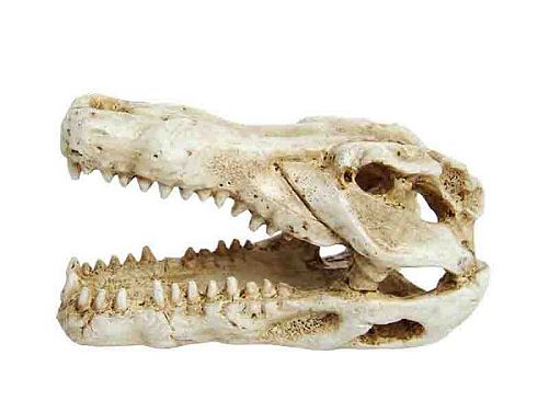 Декорация пластиковая PRIME Череп крокодила мини 7.5х4.5х4.5 см