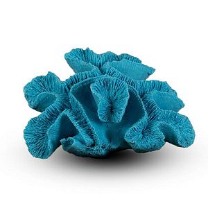Коралл Мозговик Голубой 20х16×9 см