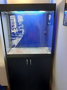 Аквариум по&nbsp;индивидуальному проекту (210&nbsp;л) с&nbsp;тумбой и&nbsp;комплектом оборудования, цвет черный