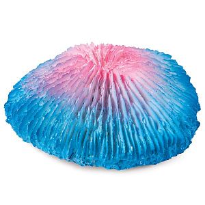 Коралл искусственный Laguna «Фунгия», розово-синяя, 100х40×100 мм