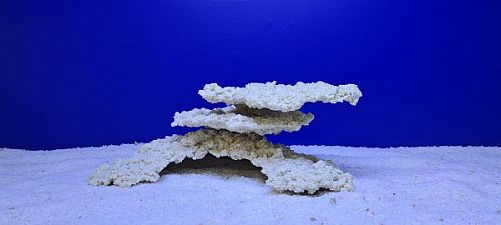 Камень Рифовый Белый, 31х19х12 см, 1497 г