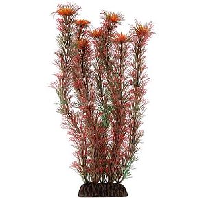Растение Laguna «Амбулия» красная, 300 мм